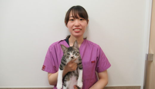 動物看護師：権田　咲子